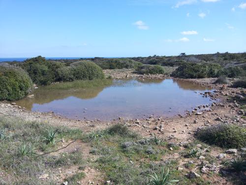 Pnd Menorca